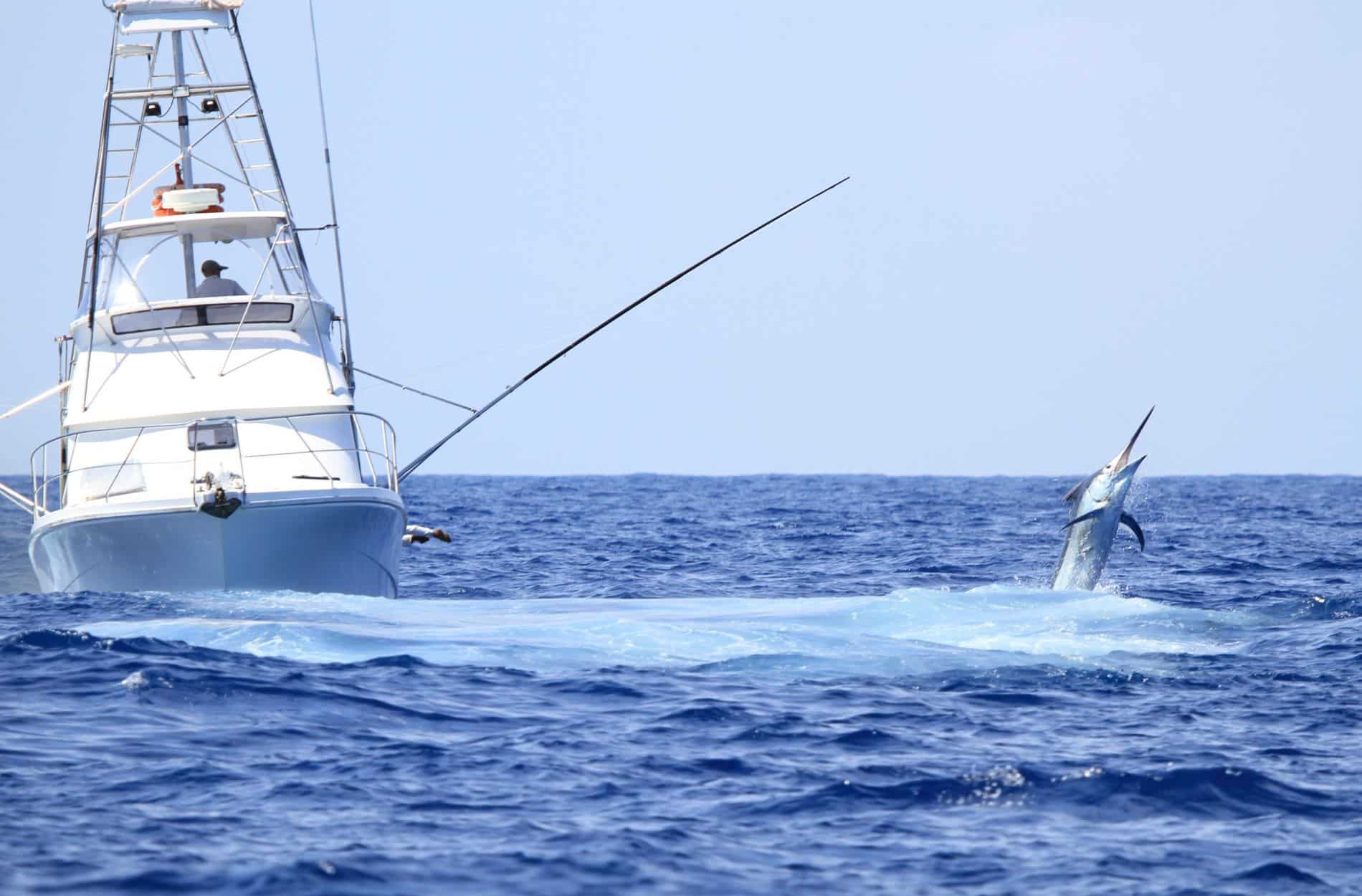 Why Regular Fishing Boat Maintenance Saves You Money